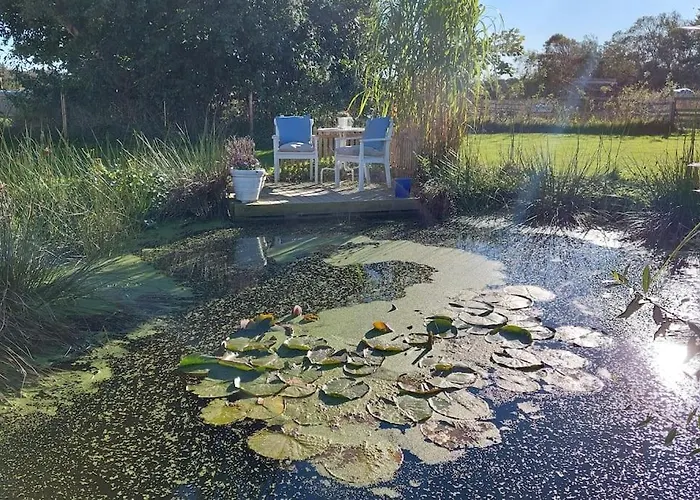Stjerneskud Bindslev