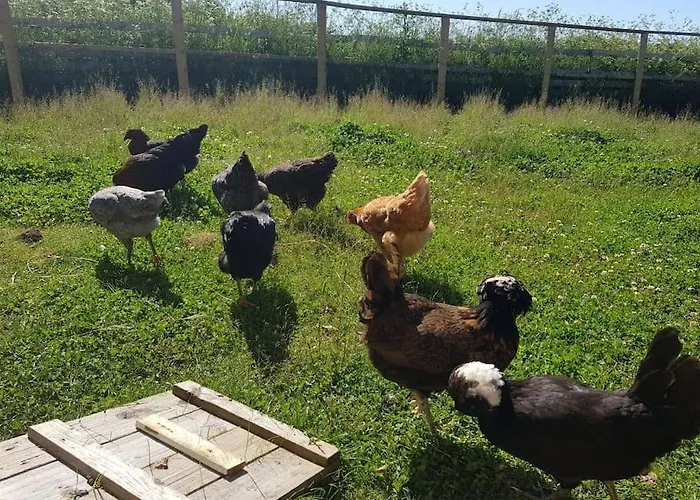 Stjerneskud Apartamento Bindslev